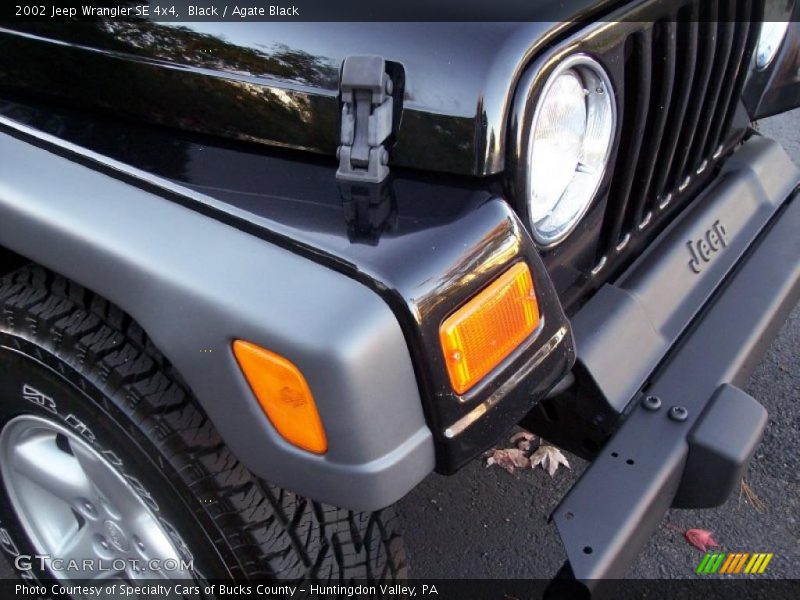 Black / Agate Black 2002 Jeep Wrangler SE 4x4