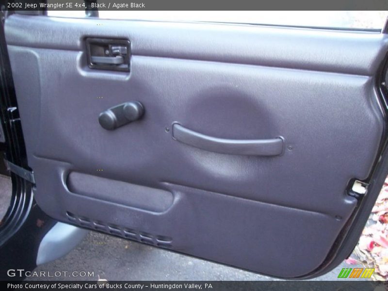 Door Panel of 2002 Wrangler SE 4x4