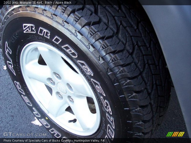Black / Agate Black 2002 Jeep Wrangler SE 4x4