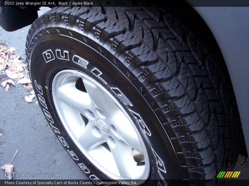 Black / Agate Black 2002 Jeep Wrangler SE 4x4