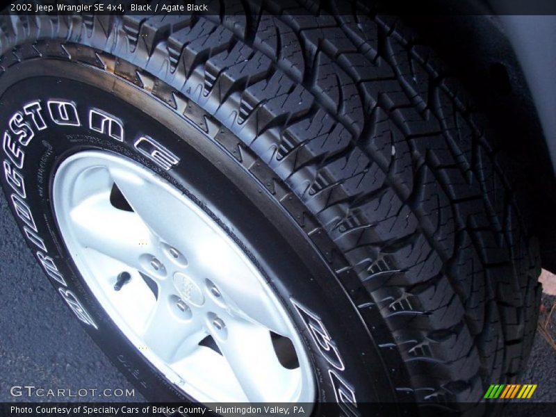 Black / Agate Black 2002 Jeep Wrangler SE 4x4