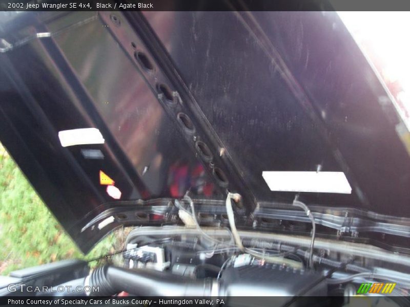 Black / Agate Black 2002 Jeep Wrangler SE 4x4