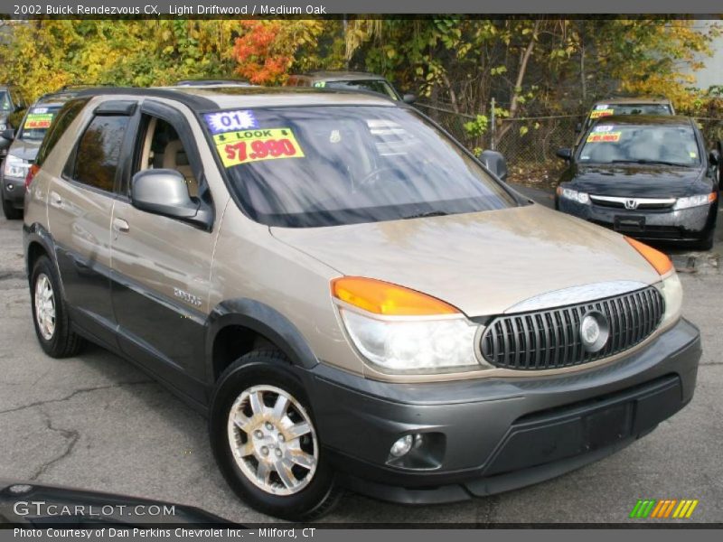 Light Driftwood / Medium Oak 2002 Buick Rendezvous CX