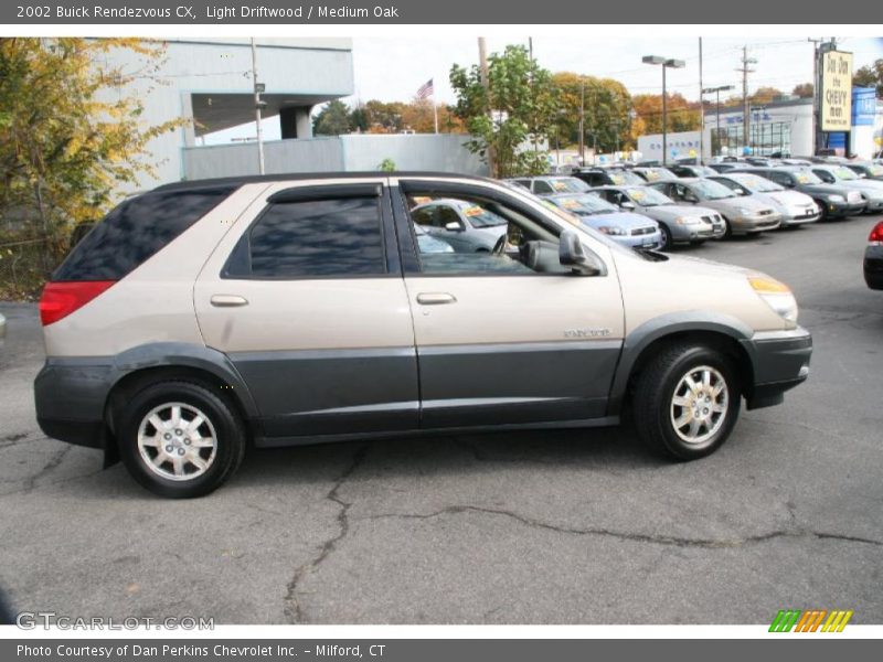 Light Driftwood / Medium Oak 2002 Buick Rendezvous CX