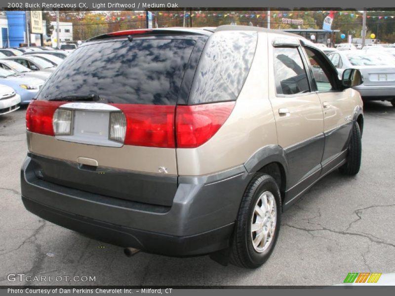 Light Driftwood / Medium Oak 2002 Buick Rendezvous CX
