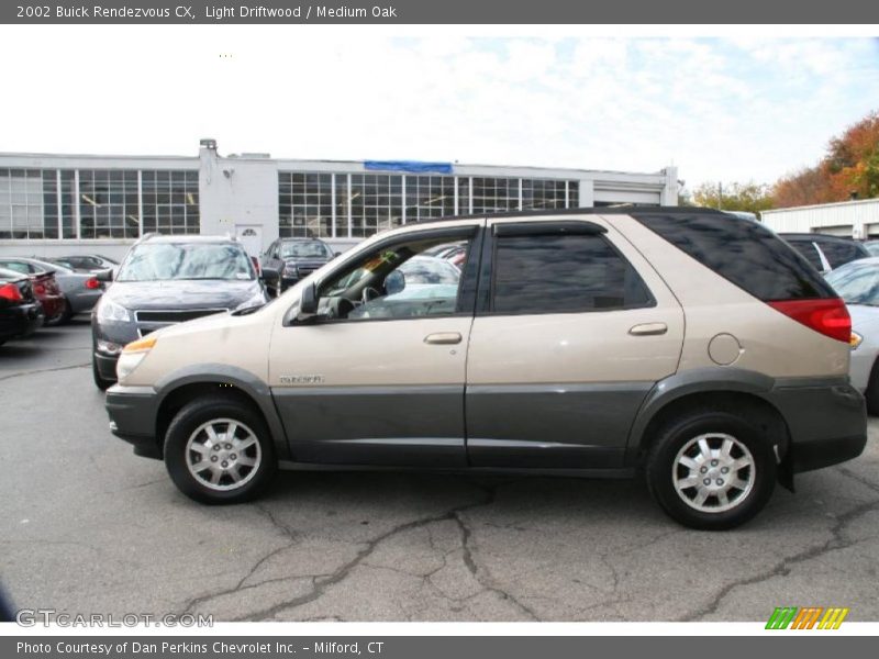 Light Driftwood / Medium Oak 2002 Buick Rendezvous CX