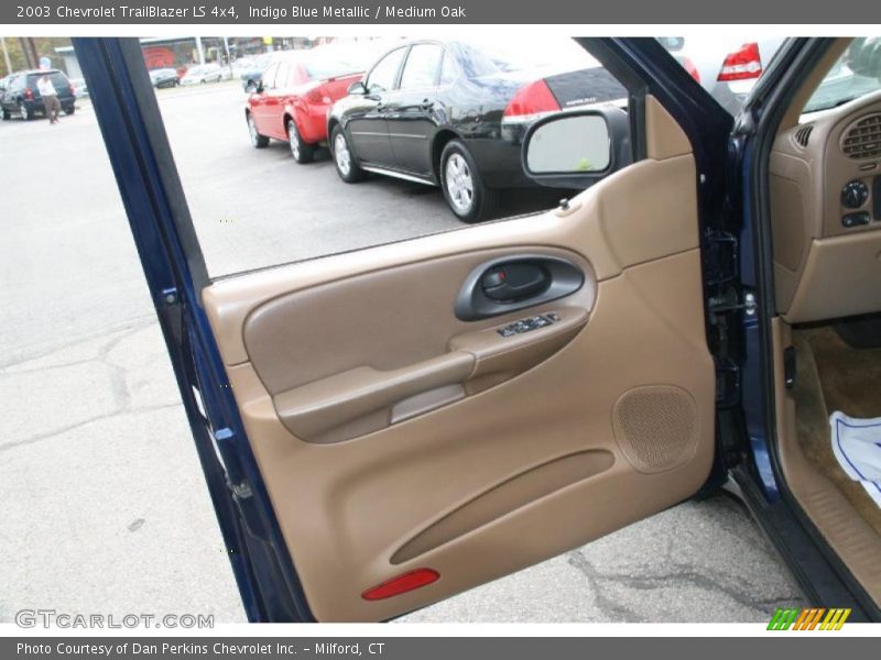 Door Panel of 2003 TrailBlazer LS 4x4
