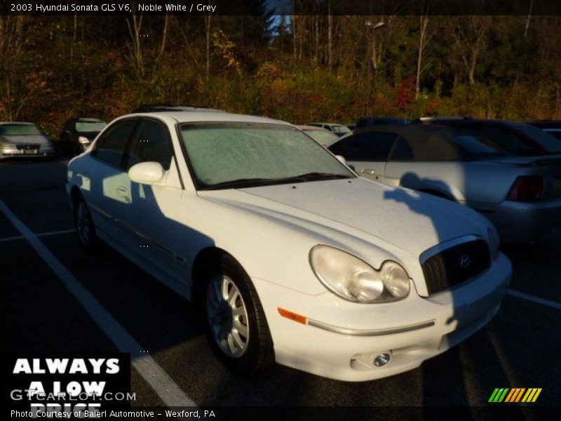 Noble White / Grey 2003 Hyundai Sonata GLS V6
