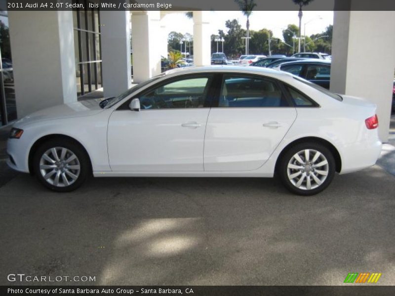 Ibis White / Cardamom Beige 2011 Audi A4 2.0T Sedan