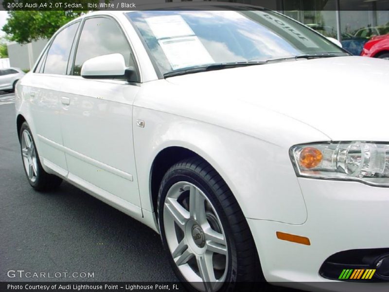 Ibis White / Black 2008 Audi A4 2.0T Sedan