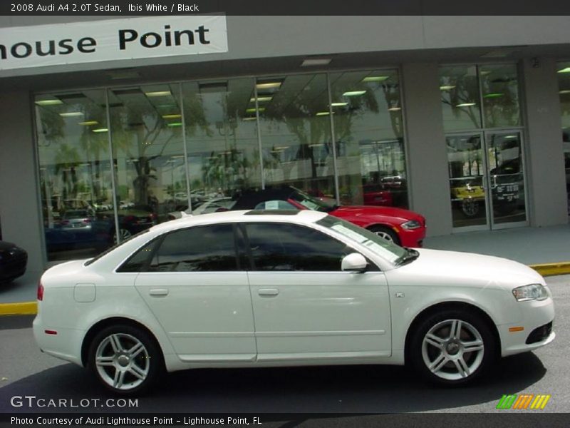 Ibis White / Black 2008 Audi A4 2.0T Sedan