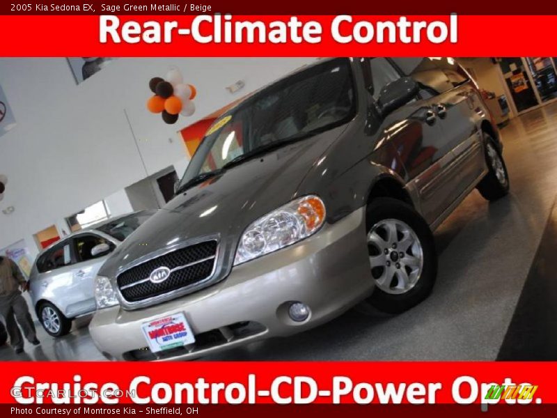 Sage Green Metallic / Beige 2005 Kia Sedona EX