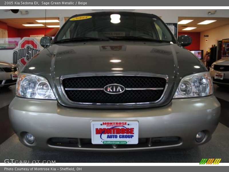 Sage Green Metallic / Beige 2005 Kia Sedona EX