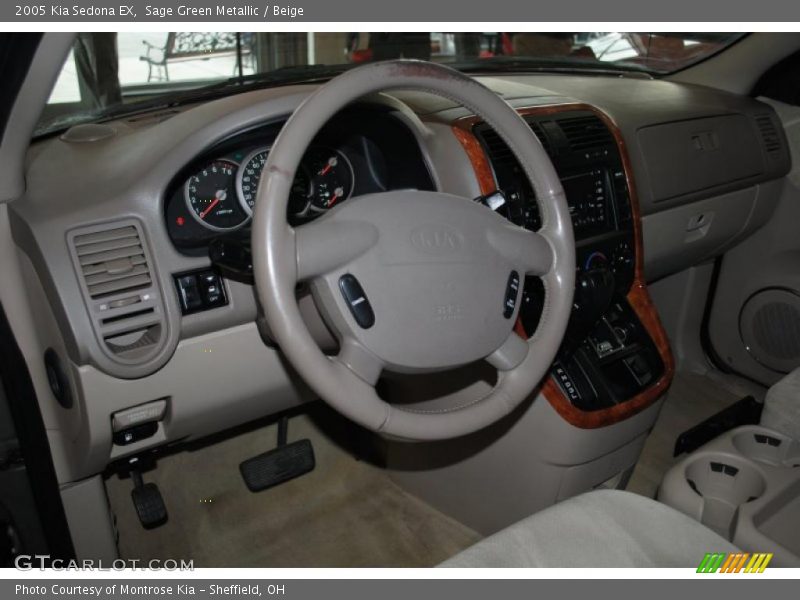 Sage Green Metallic / Beige 2005 Kia Sedona EX