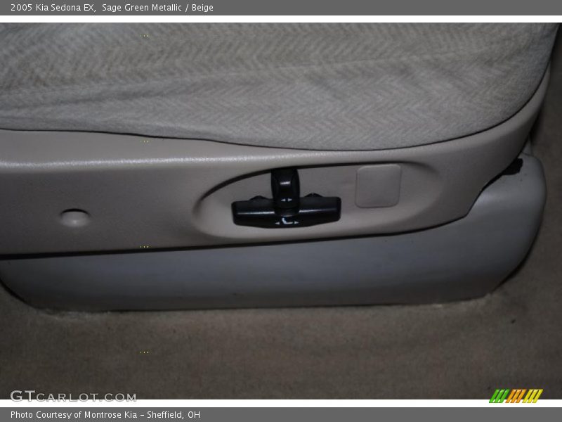 Sage Green Metallic / Beige 2005 Kia Sedona EX