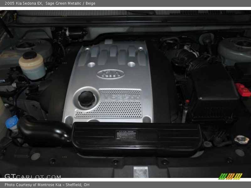 Sage Green Metallic / Beige 2005 Kia Sedona EX
