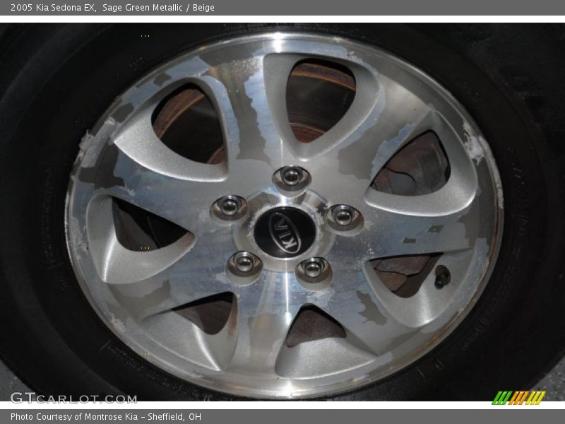 Sage Green Metallic / Beige 2005 Kia Sedona EX