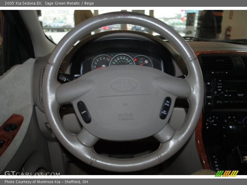 Sage Green Metallic / Beige 2005 Kia Sedona EX
