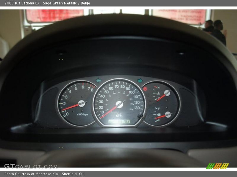 Sage Green Metallic / Beige 2005 Kia Sedona EX