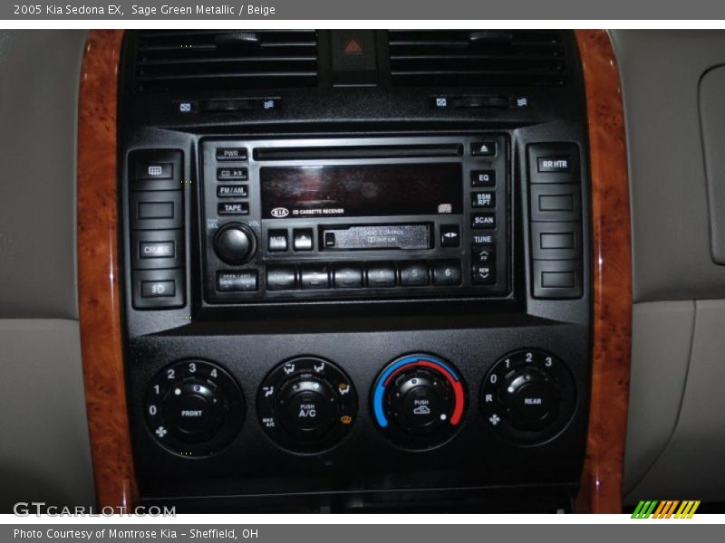 Sage Green Metallic / Beige 2005 Kia Sedona EX