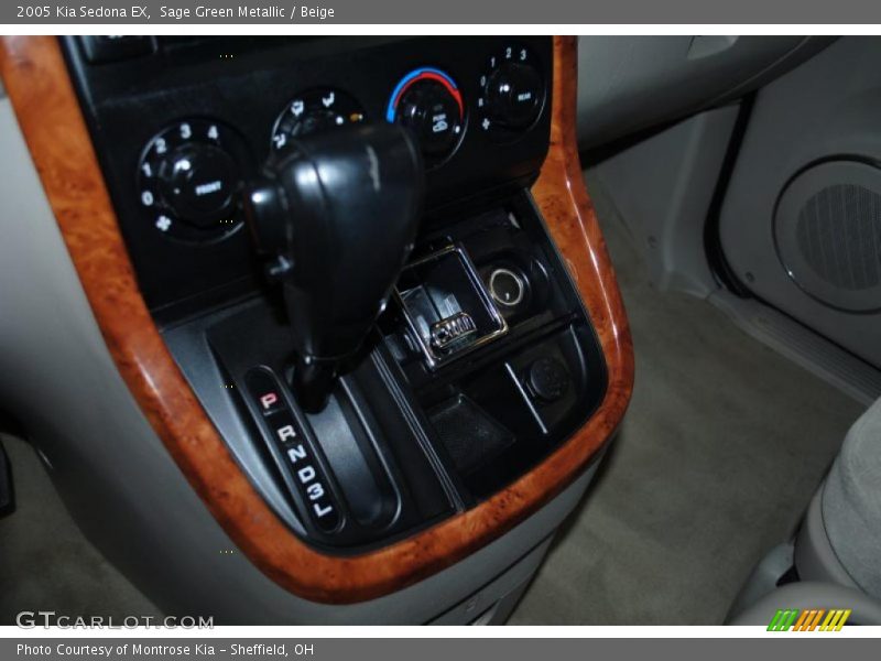 Sage Green Metallic / Beige 2005 Kia Sedona EX