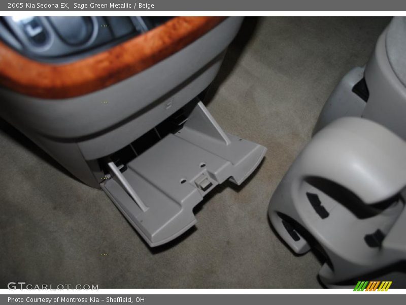 Sage Green Metallic / Beige 2005 Kia Sedona EX