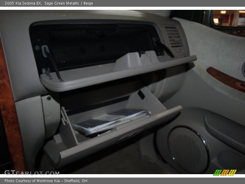 Sage Green Metallic / Beige 2005 Kia Sedona EX