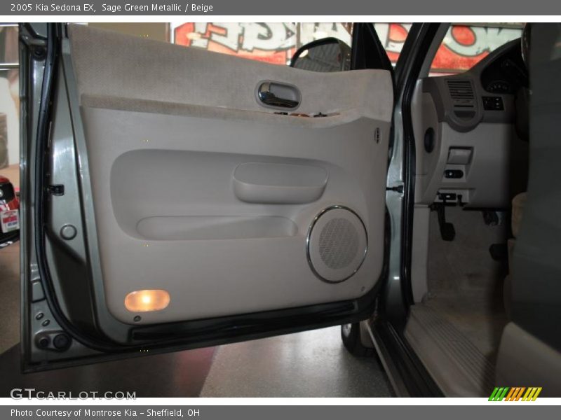 Sage Green Metallic / Beige 2005 Kia Sedona EX