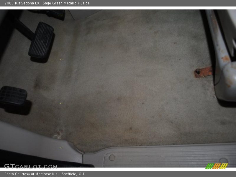 Sage Green Metallic / Beige 2005 Kia Sedona EX