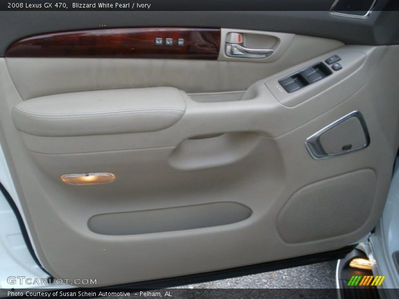 Door Panel of 2008 GX 470