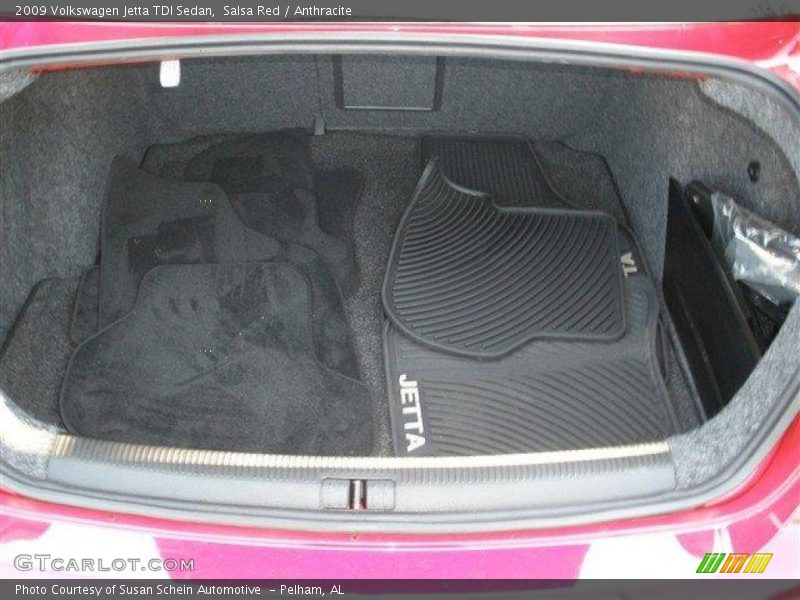 Salsa Red / Anthracite 2009 Volkswagen Jetta TDI Sedan