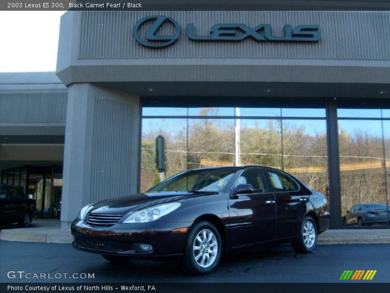 Black Garnet Pearl / Black 2003 Lexus ES 300