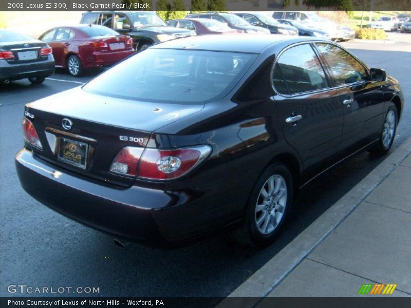 Black Garnet Pearl / Black 2003 Lexus ES 300