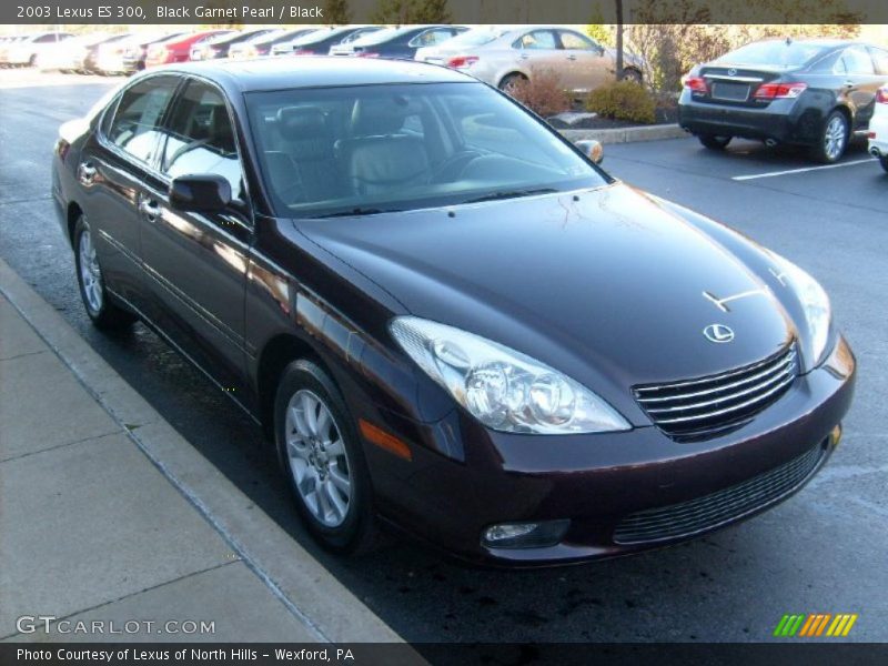 Black Garnet Pearl / Black 2003 Lexus ES 300