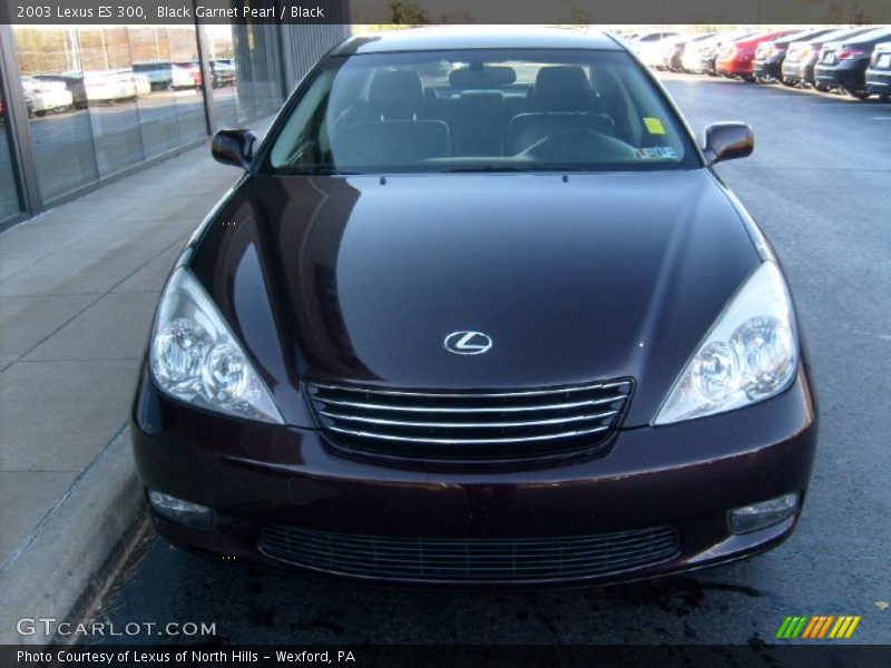 Black Garnet Pearl / Black 2003 Lexus ES 300