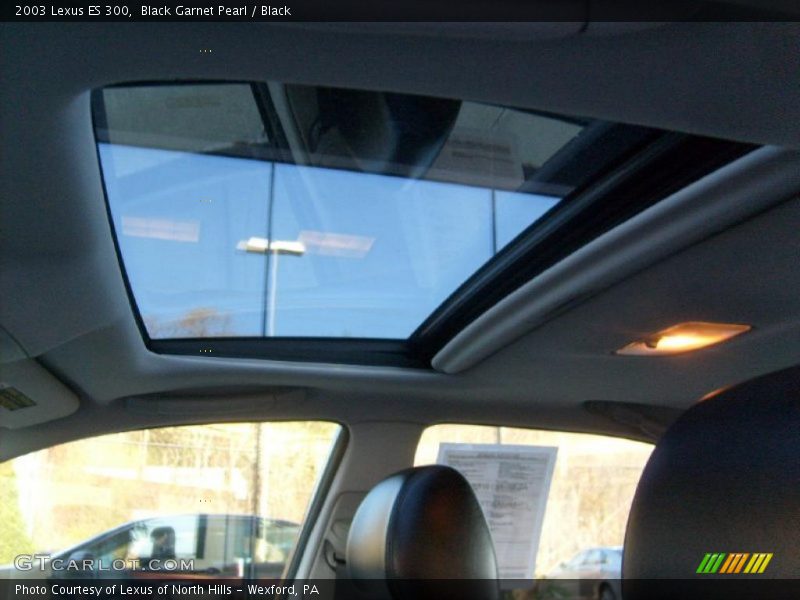 Black Garnet Pearl / Black 2003 Lexus ES 300