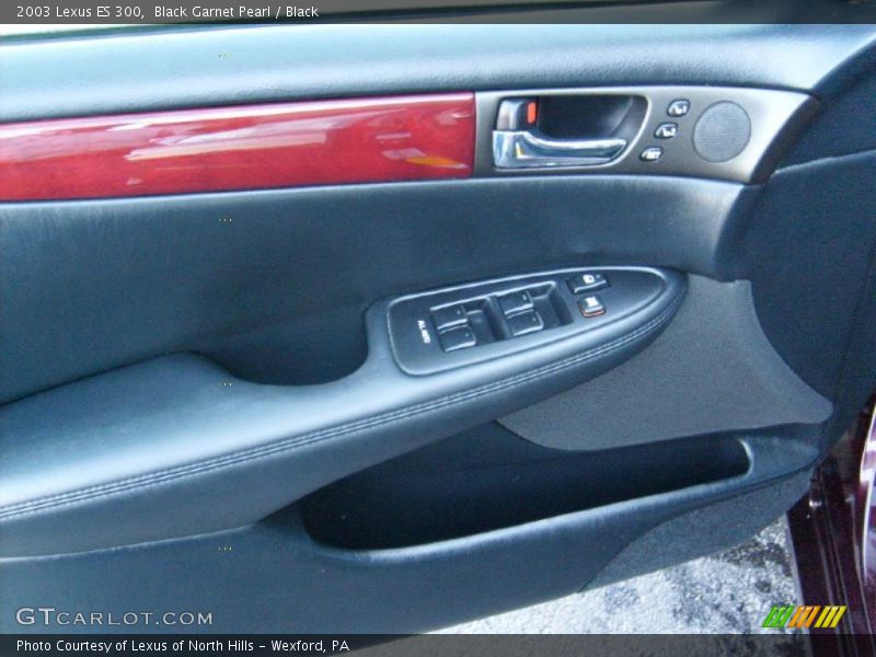 Black Garnet Pearl / Black 2003 Lexus ES 300