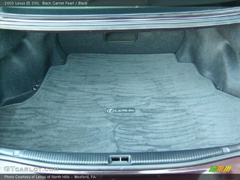 Black Garnet Pearl / Black 2003 Lexus ES 300