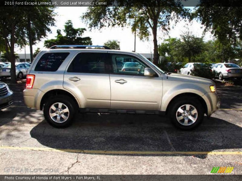 Gold Leaf Metallic / Camel 2010 Ford Escape Limited V6