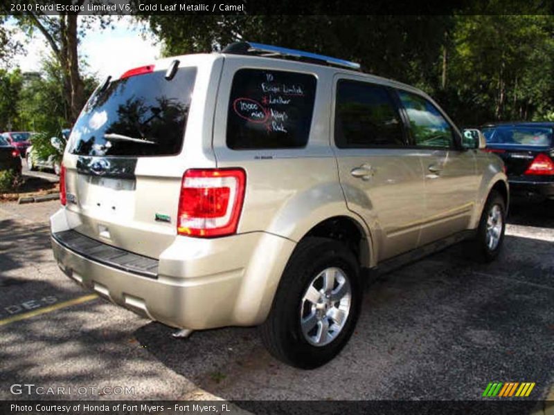 Gold Leaf Metallic / Camel 2010 Ford Escape Limited V6