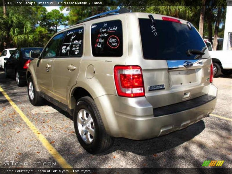 Gold Leaf Metallic / Camel 2010 Ford Escape Limited V6