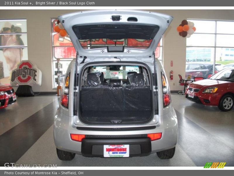 Bright Silver / Black Soul Logo Cloth 2011 Kia Soul +