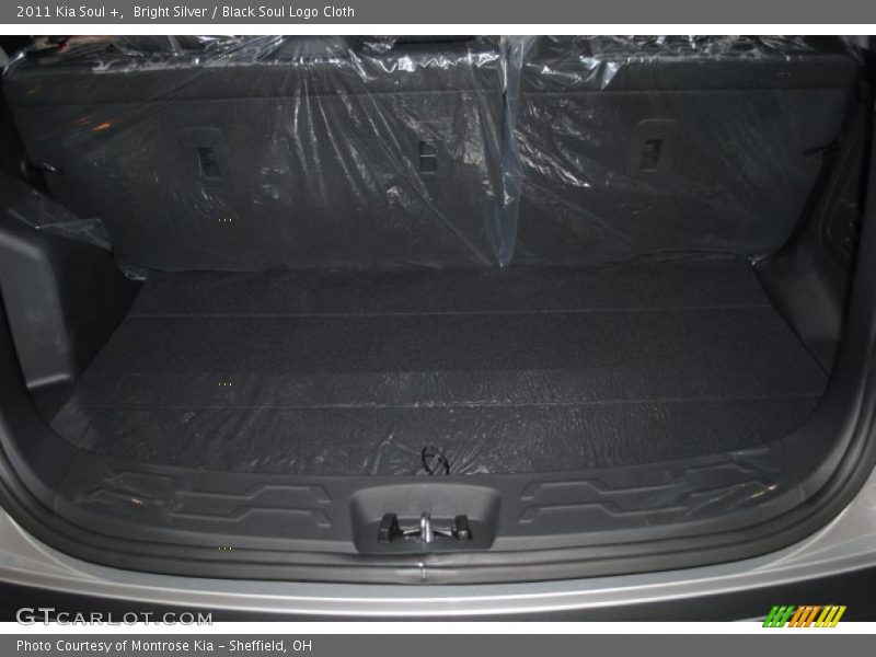 Bright Silver / Black Soul Logo Cloth 2011 Kia Soul +