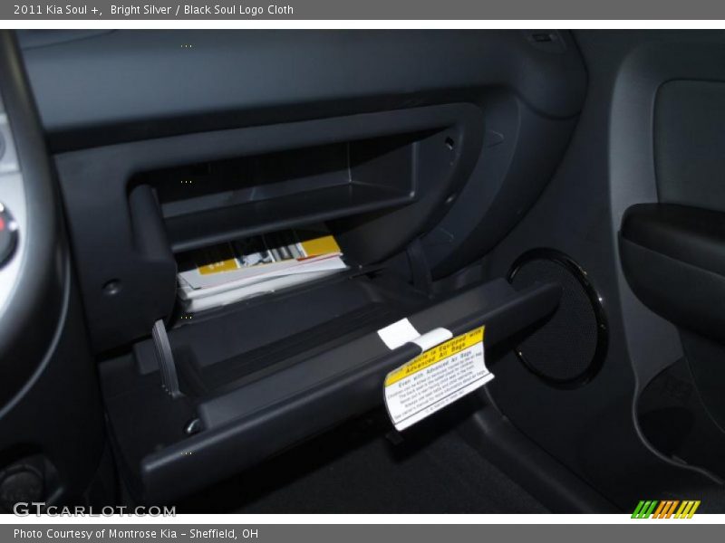 Bright Silver / Black Soul Logo Cloth 2011 Kia Soul +