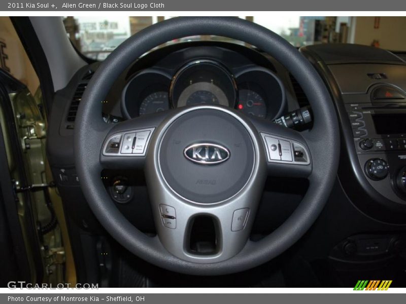 Alien Green / Black Soul Logo Cloth 2011 Kia Soul +