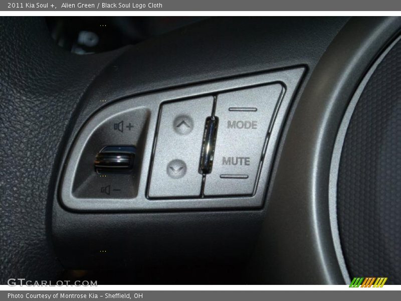 Alien Green / Black Soul Logo Cloth 2011 Kia Soul +