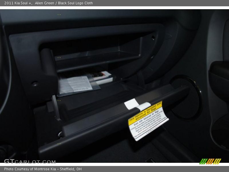 Alien Green / Black Soul Logo Cloth 2011 Kia Soul +