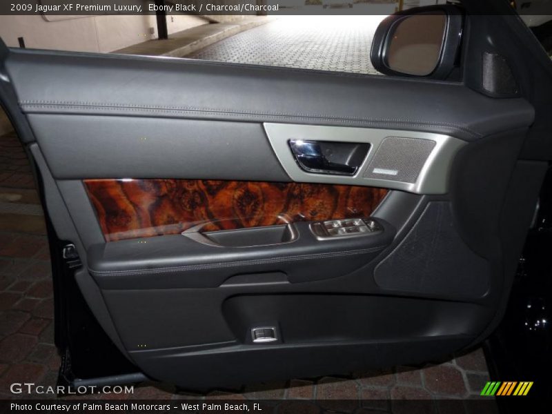 Door Panel of 2009 XF Premium Luxury