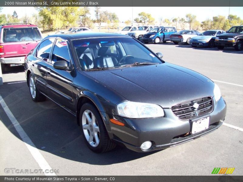  2000 Maxima SE Gray Lustre Metallic