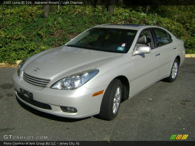 Alabaster Metallic / Light Charcoal 2002 Lexus ES 300